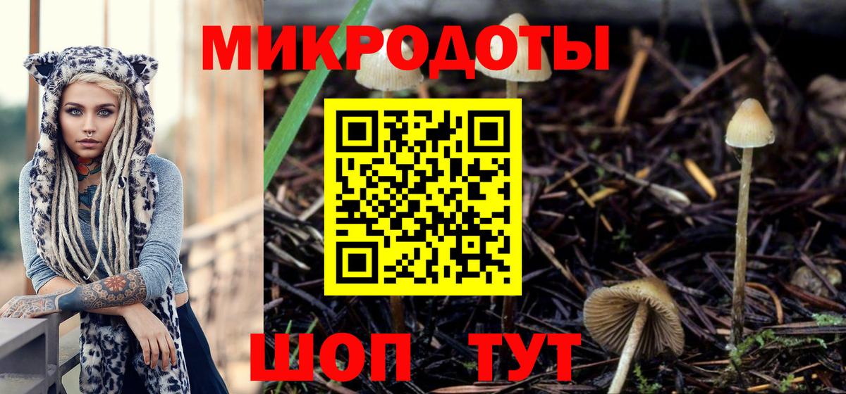 Амурск  Галлюциногенные грибы MAGIC MUSHROOMS  Вход с VPN  Псилоцибиновые грибы Psilocybe 
