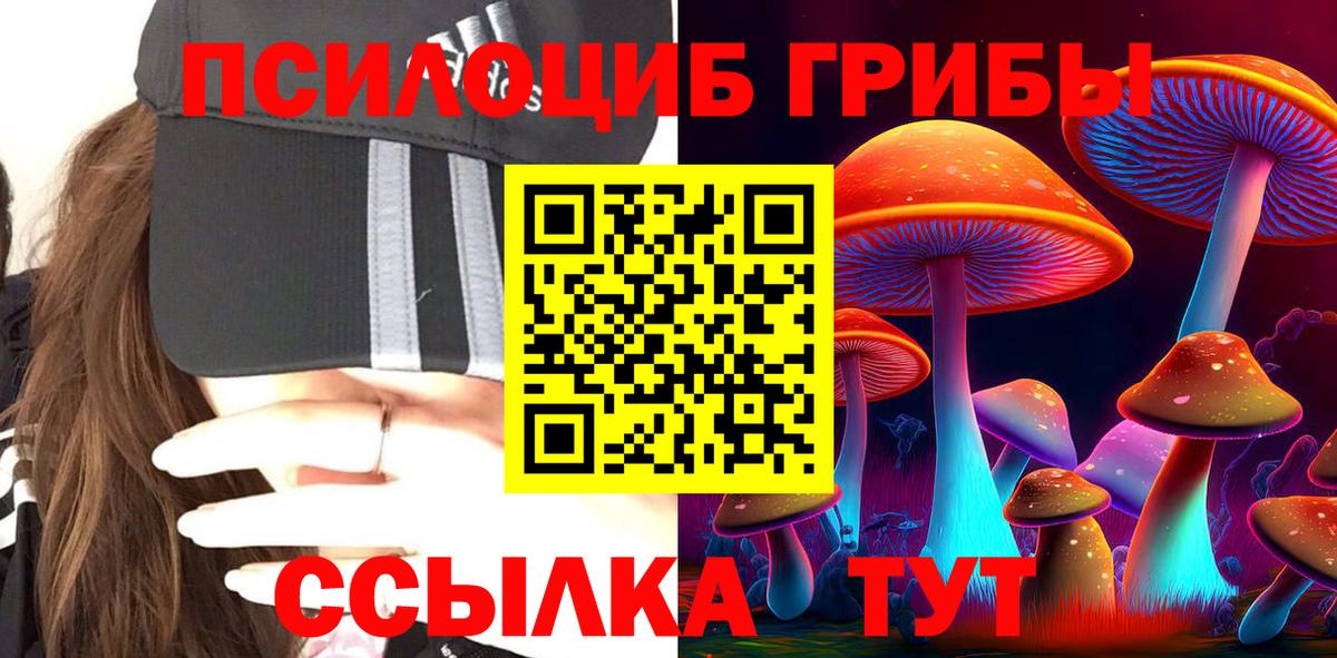 Псилоцибиновые грибы прущие грибы Амурск